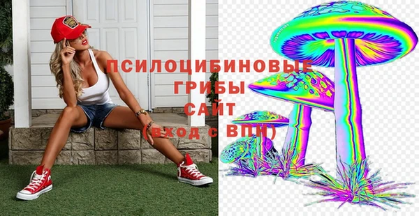 гидра Алзамай