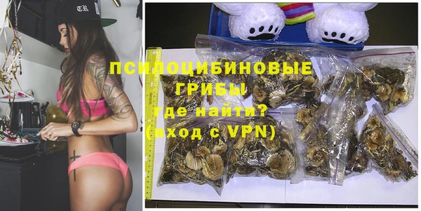 сатива Алексеевка