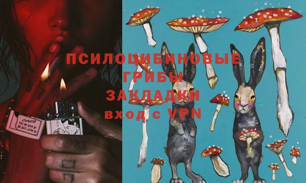 apvp Алексин