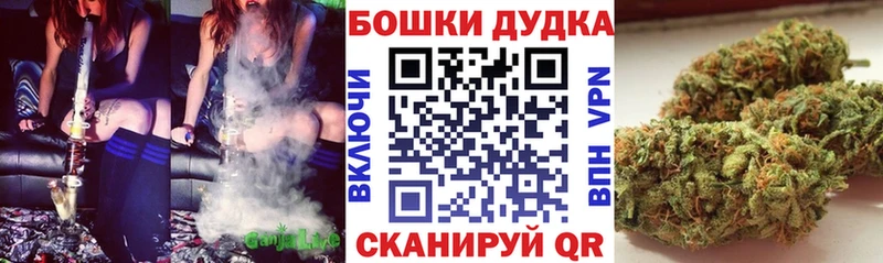 МАРИХУАНА план  Олонец 